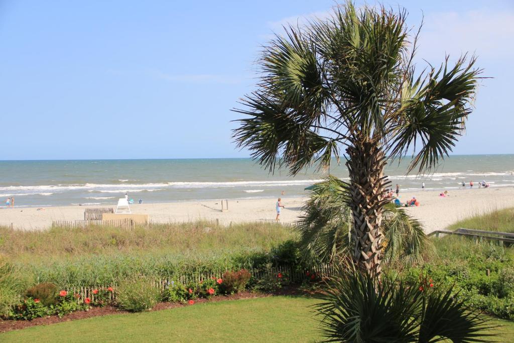 Jade Tree Cove Hotel Myrtle Beach Bagian luar foto